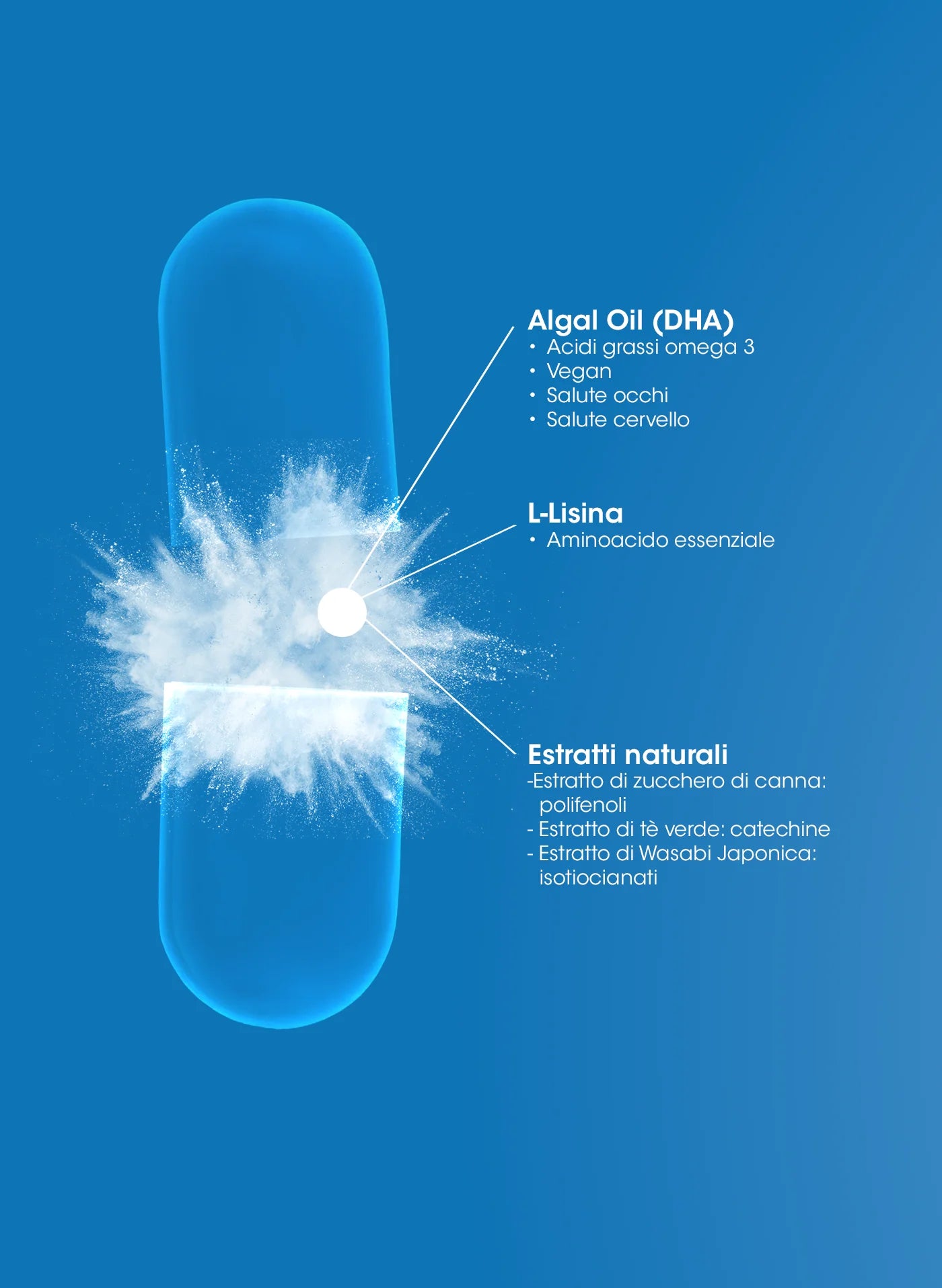 L-PILL per un invecchiamento sano