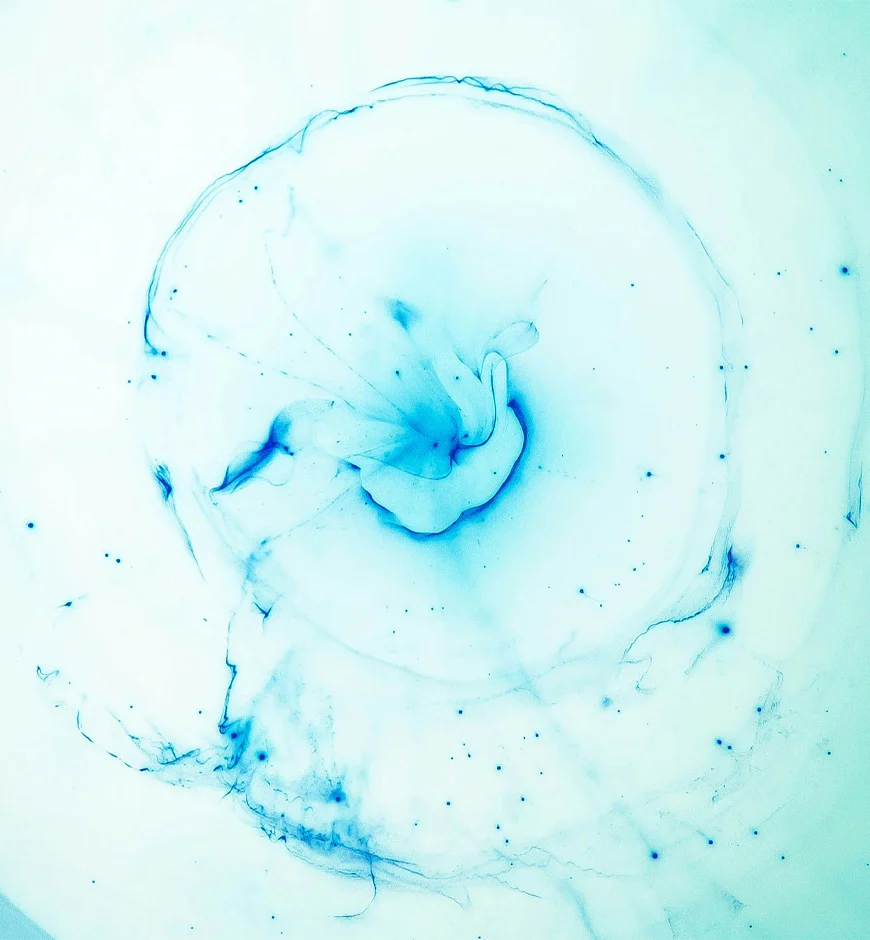 Autofagia: la magia della rigenerazione cellulare